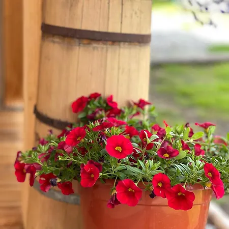 Villa Na Mlace Witów