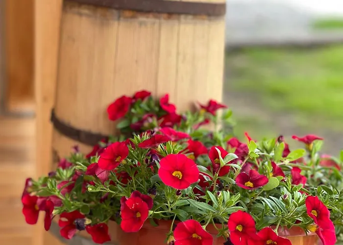 Vila Na Mlace Witów